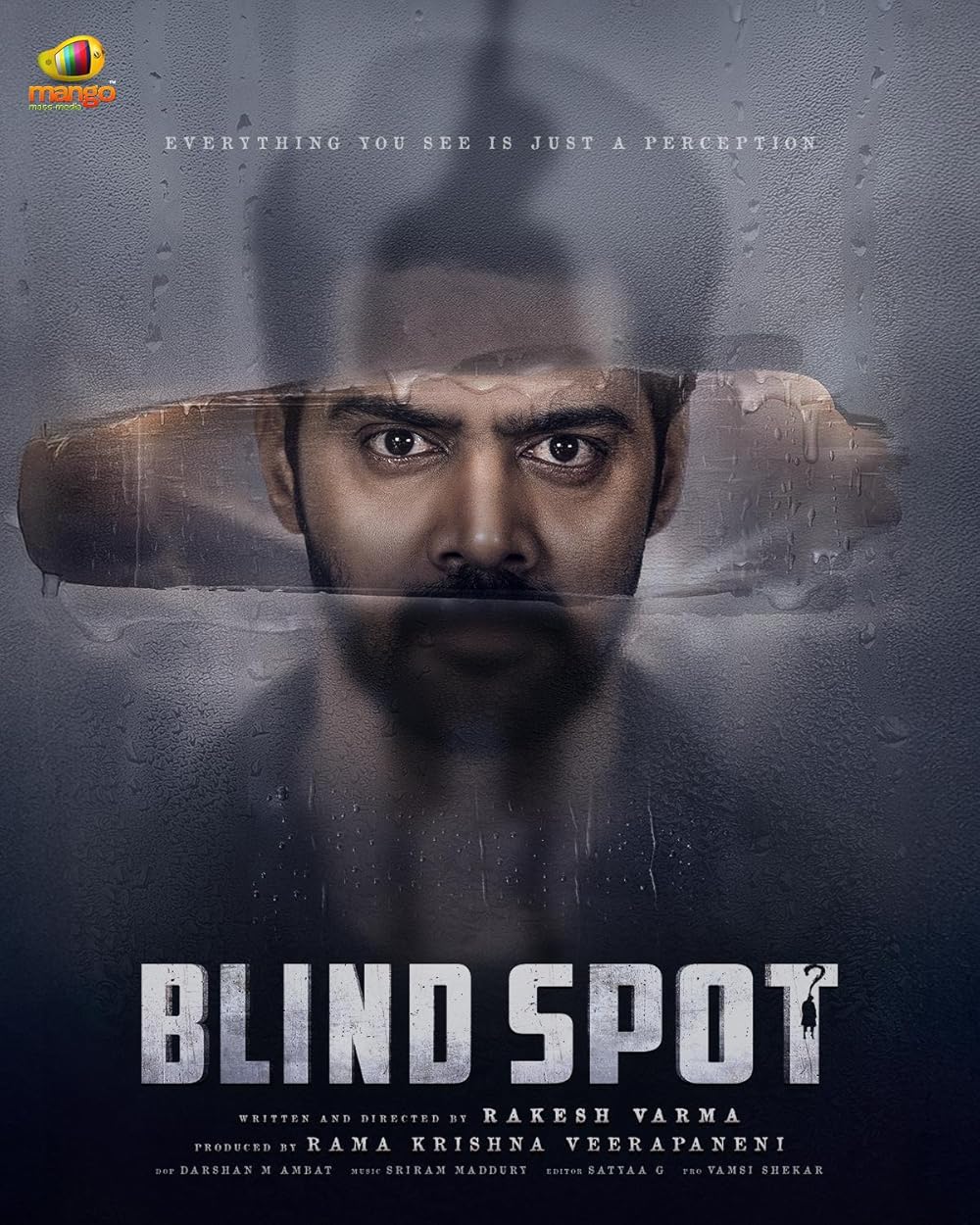 Blind Spot