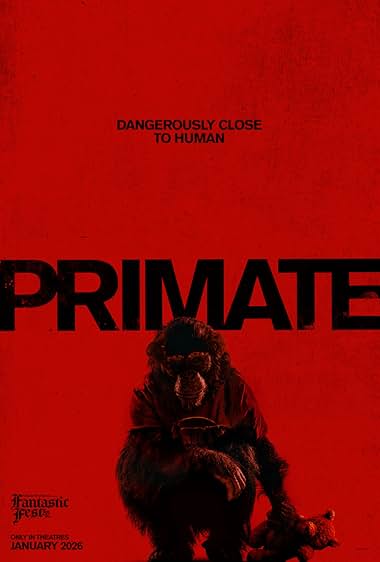 Primate